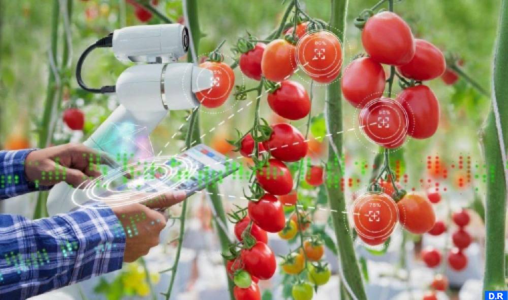 Technologie nucléaire : Des procédés innovants au service de la sécurité alimentaire