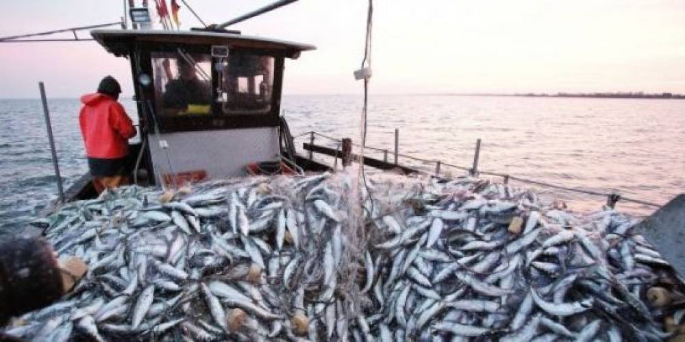 Le nouvel accord de pêche Maroc-Russie approuvé en commission des affaires étrangères
