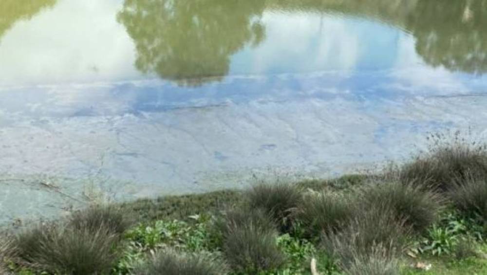Les rivières du Maroc menacées par la pollution et le stress hydrique