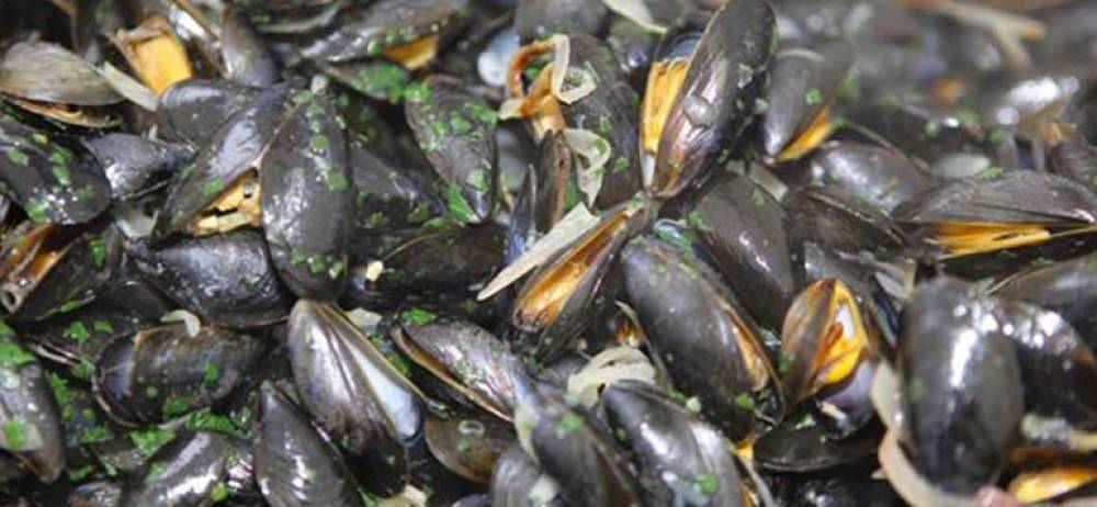 Agadir : Interdiction de la récolte et la commercialisation des coquillages issus de la zone Imi Ouaddar