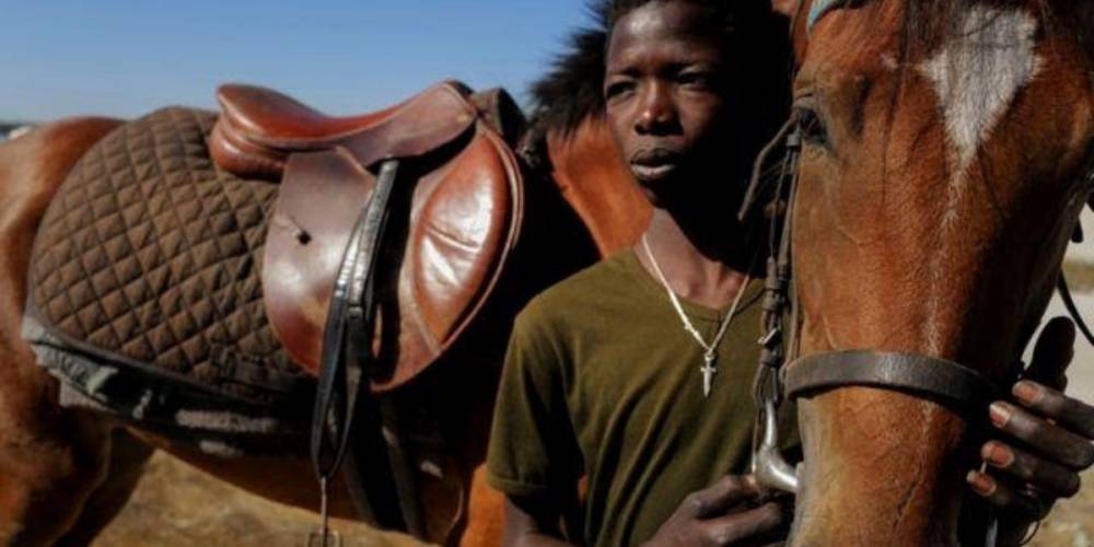 Courses hippiques : une passion qui gagne l’Afrique