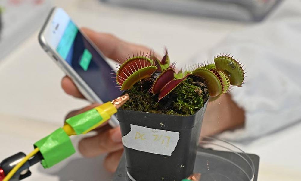 Des scientifiques à Singapour travaillent sur des «robots-plantes»