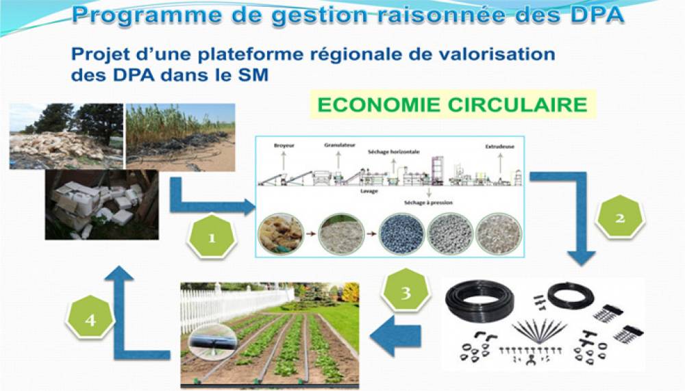 Un projet pilote pour le recyclage des plastiques agricoles dans le Souss-Massa
