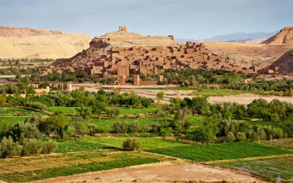 Agriculture : le Maroc compte investir 4,5 MMDH en soutien aux investissements privés en 2021