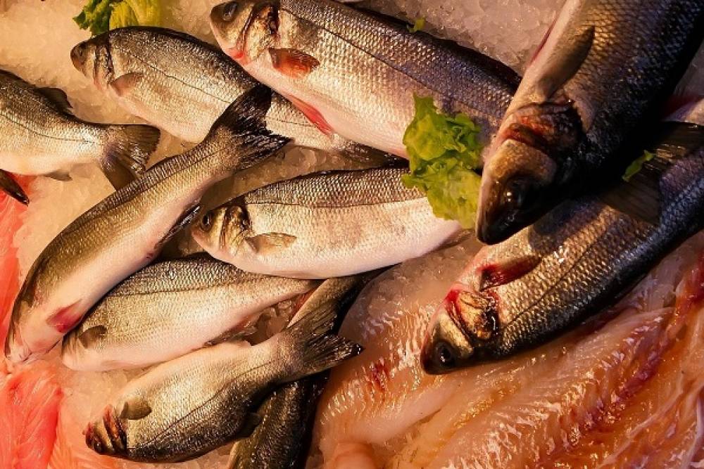 Ramadan : le poisson, un aliment prisé par les habitants de Tan-Tan