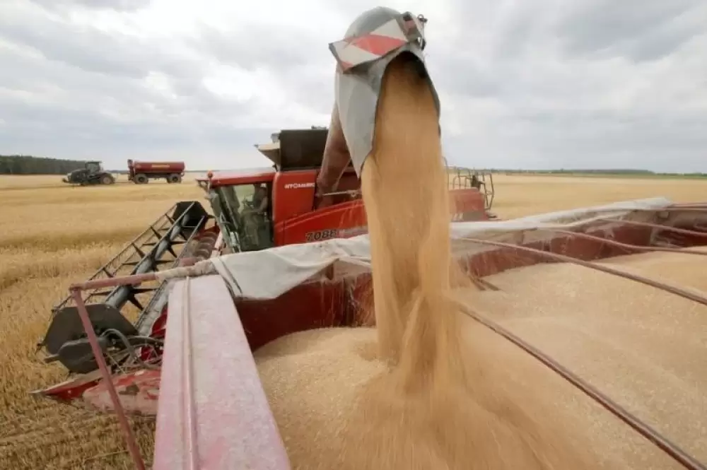 Sécurité alimentaire : Appel de la FAO pour aider les agriculteurs ukrainiens