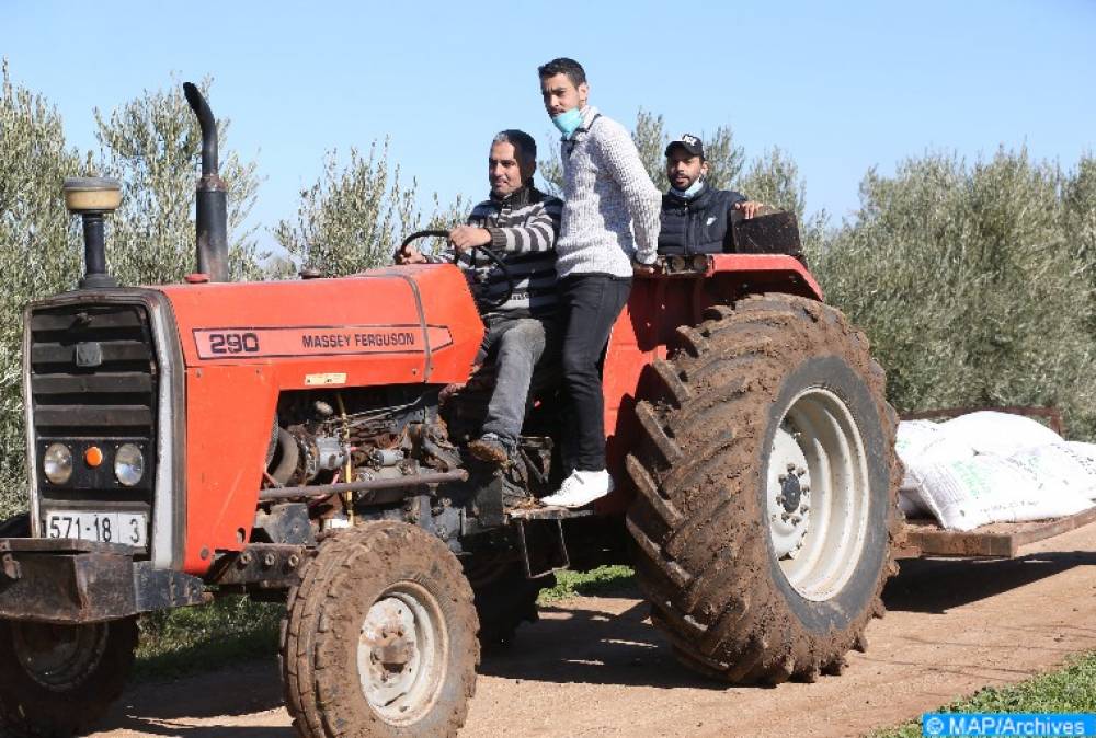 Entreprenariat agricole : 800 porteurs de projets accompagnés par « Dar Al Moustatmir Al Qaraoui »