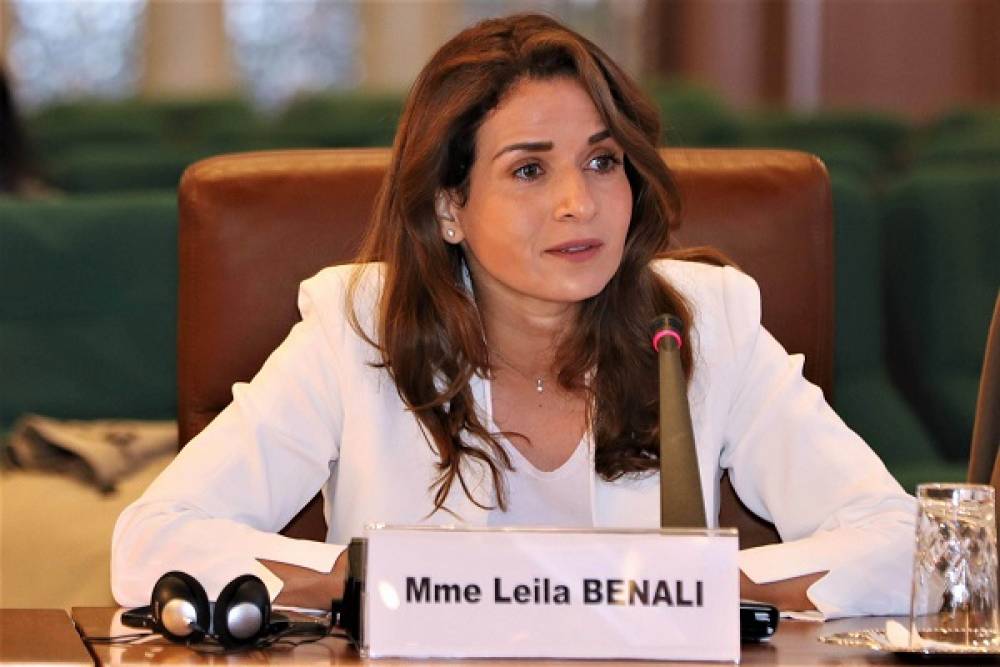 Benali : « L'économie nationale devient progressivement plus sobre en carbone »