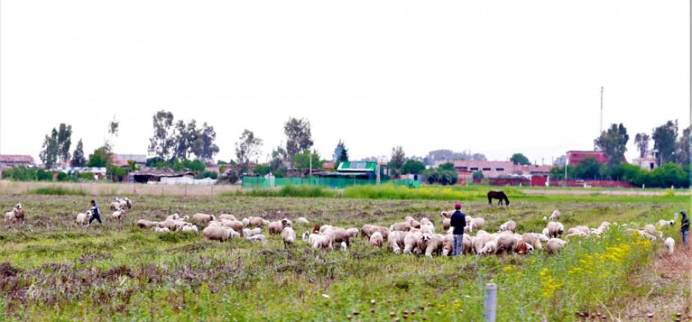 PCNS : Le chômage des jeunes du monde rural, parent pauvre des politiques publiques…