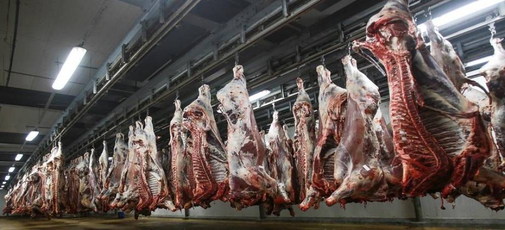 Les Abattoirs de Casablanca certifiés ISO 22000 v2018 et ISO 9001 v2015 pour la cinquième fois