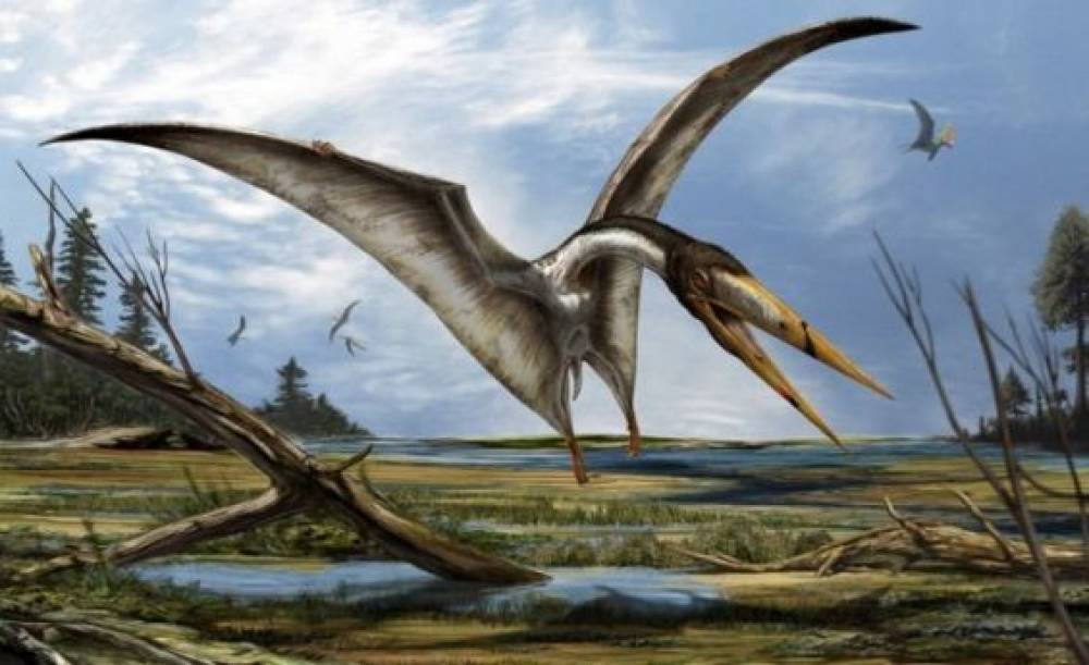 Un Ptérosaure azhdarchoïde découvert grâce à des fossiles dénichés au Maroc et en Angleterre