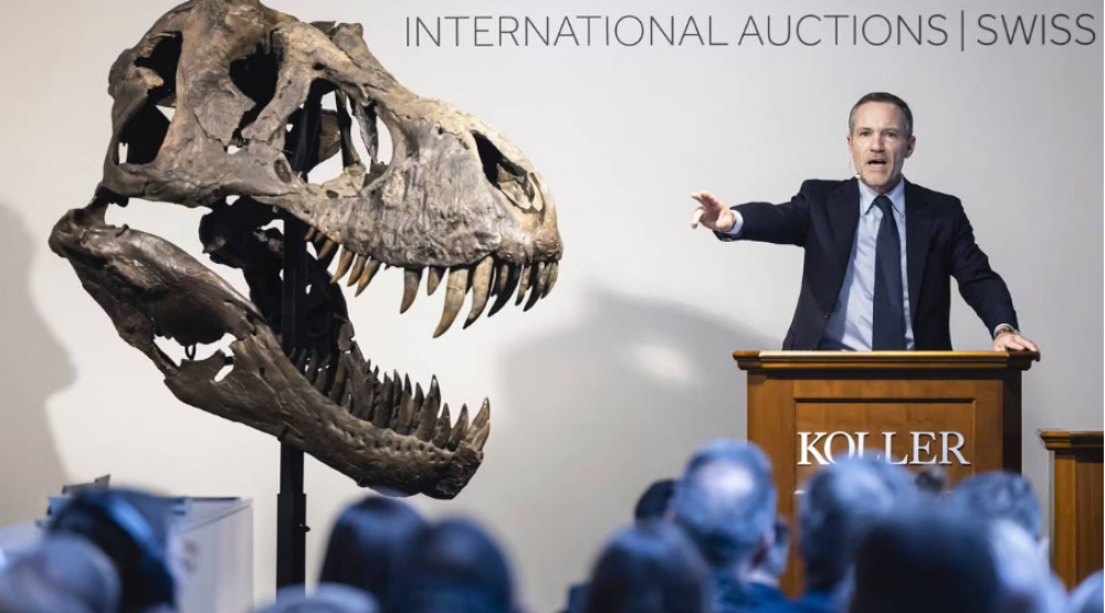 Un squelette composite de T-Rex vendu près de 5,6 millions d’euros aux enchères