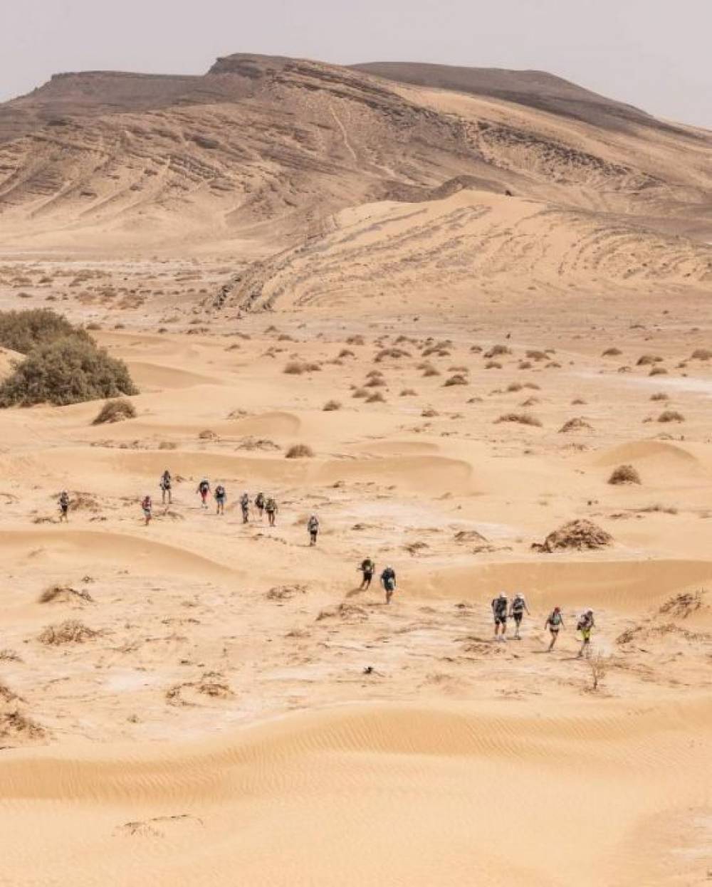 Marathon des sables : Mohamed El Morabity s'impose à l’issue de la 2e étape