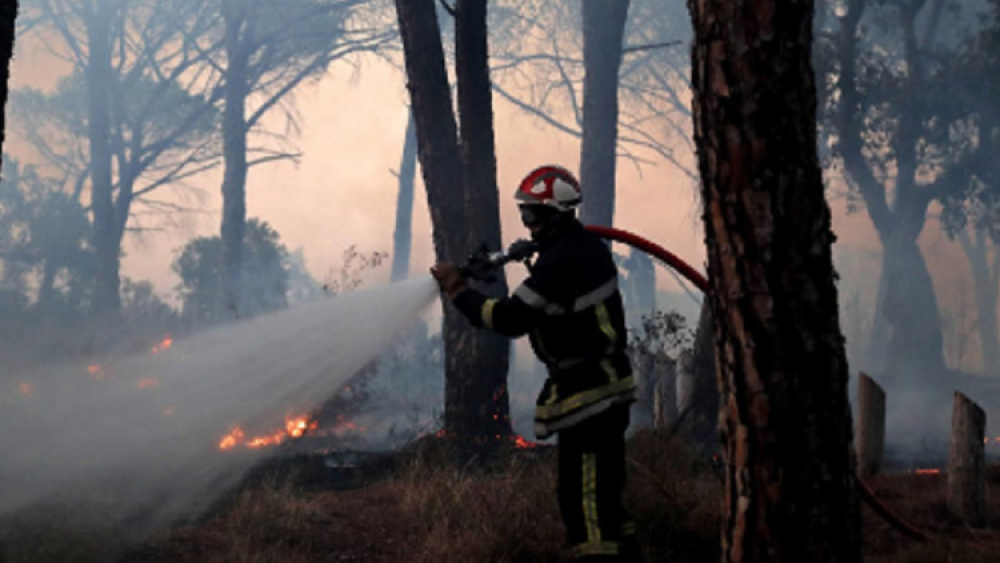 Province de Chefchaouen : l’incendie de la forêt « Akemsane » dans la commune de Bab Berred maîtrisé