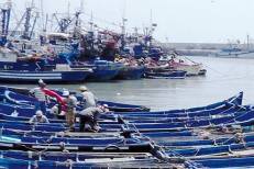Ports situés sur la Méditerranée : Baisse de 12% des débarquements de pêche au premier trimestre
