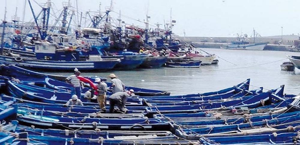 Ports situés sur la Méditerranée : Baisse de 12% des débarquements de pêche au premier trimestre