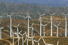 Programme éolien Nassim Nord: Masen lance le processus d’appel d’offres