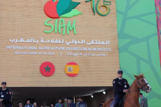 Meknès : le 16ème SIAM ouvre ses portes au grand public