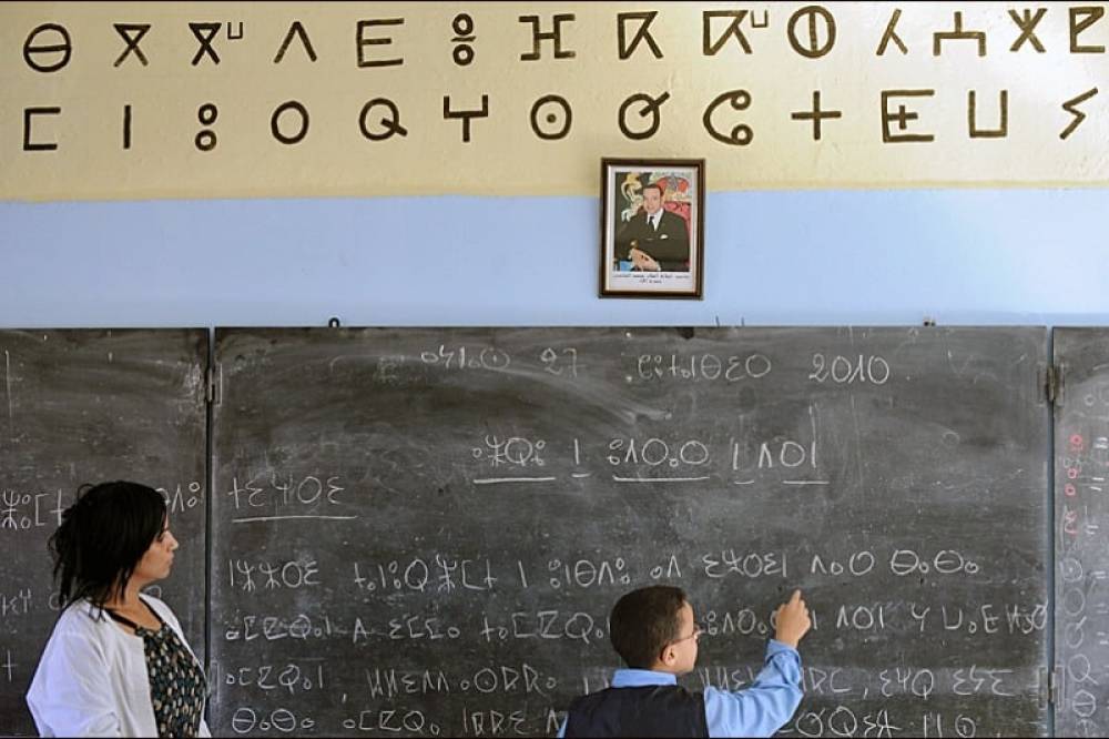 Avancées dans l'intégration de l'amazigh dans l'enseignement : Bilan et perspectives