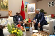 Agriculture : le Nigeria souhaite approfondir les relations de coopération avec le Maroc