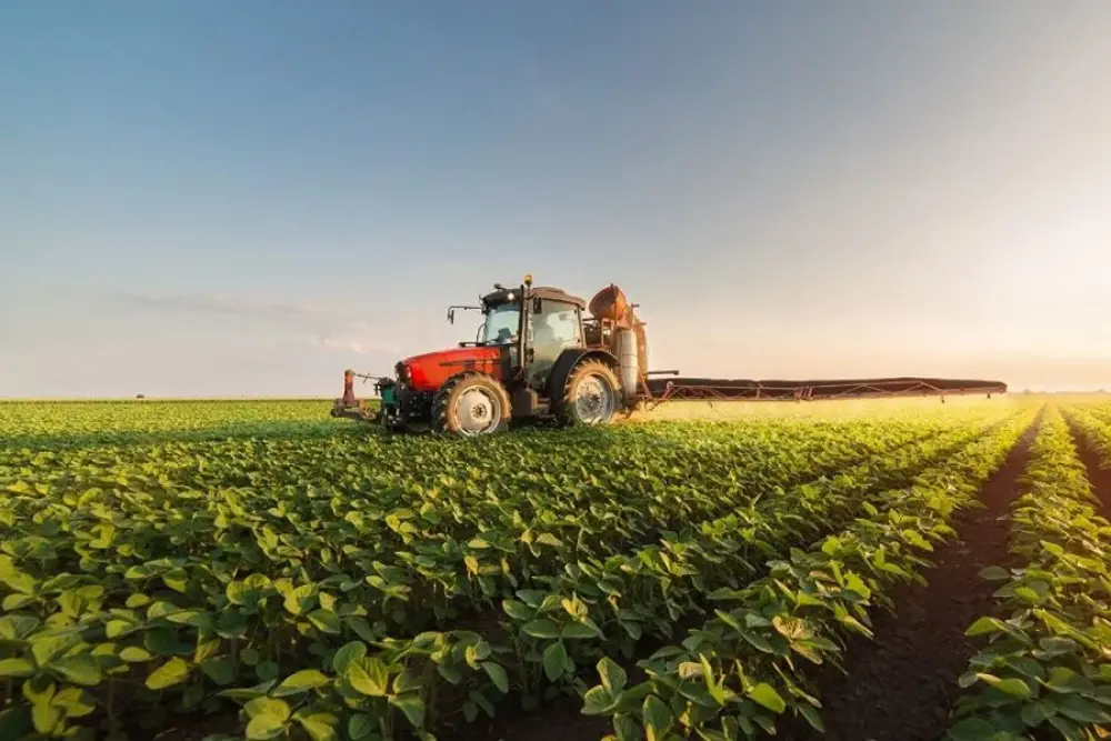 Agriculture : un rebond climatique soutient la croissance, sans dissiper les fragilités du modèle