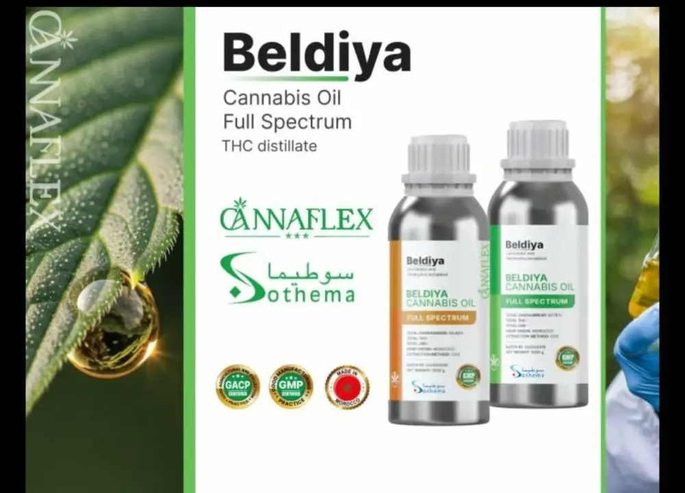 Cannabis : le Maroc exporte, pour la première fois, un extrait pharmaceutique certifié GMP