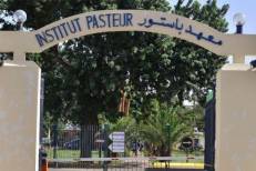 Conseil de gouvernement : nomination de Aahd Oulad El Hassan à la tête du Centre de sérums et vaccins de l'Institut Pasteur