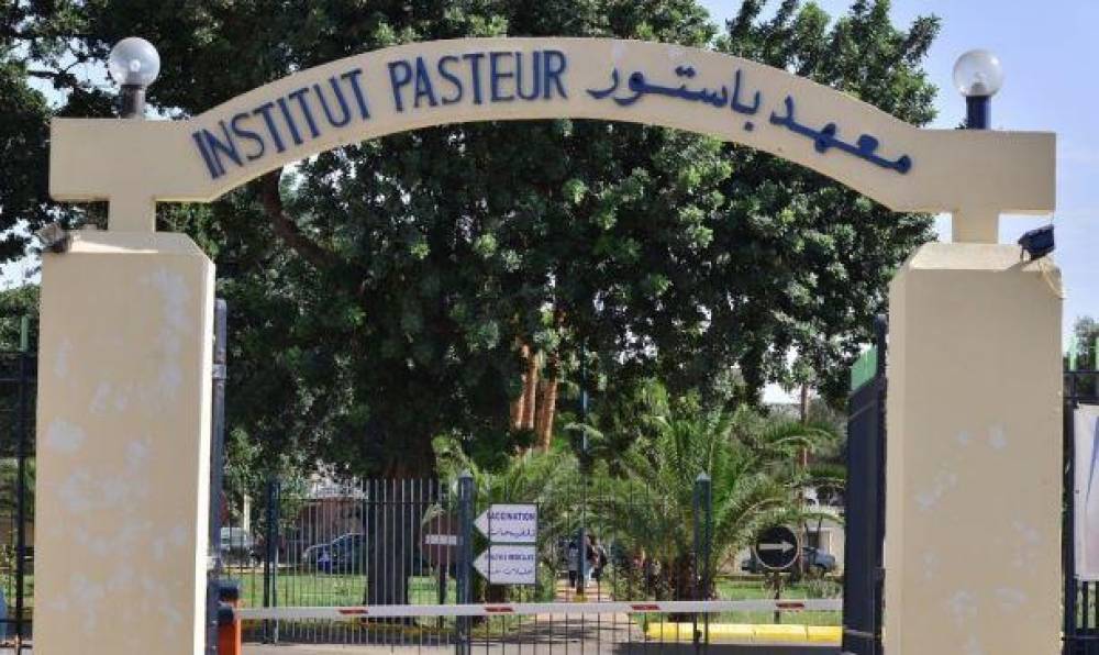 Conseil de gouvernement : nomination de Aahd Oulad El Hassan à la tête du Centre de sérums et vaccins de l'Institut Pasteur