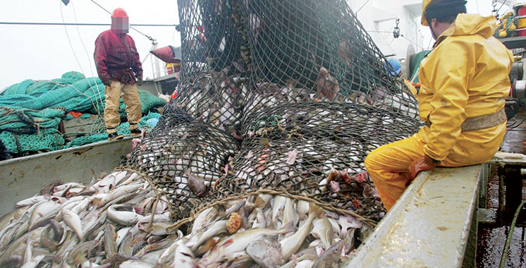 3.834 caissons isothermes distribués pour les barques de la pêche artisanale