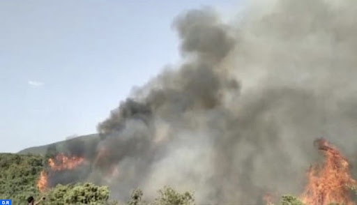 L’incendie de la forêt Ouirman maîtrisé à temps