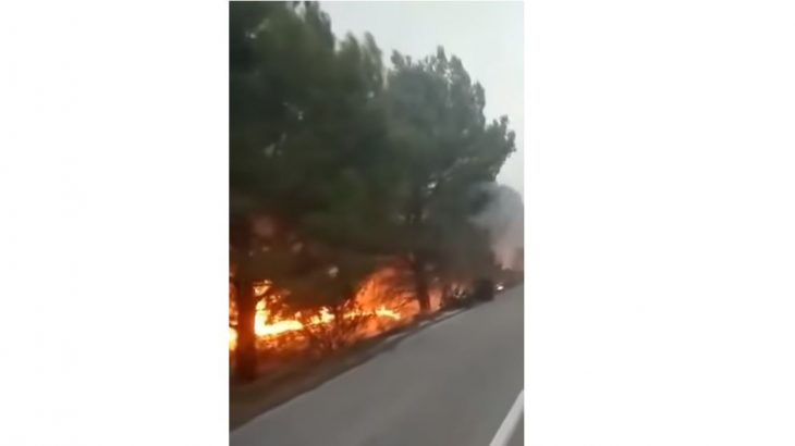 Chefchaouen: Un incendie ravage 300 ha de forêt