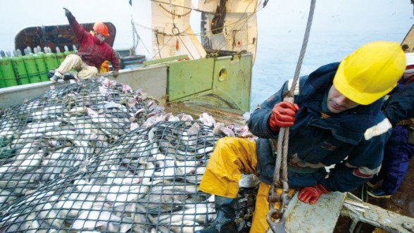 Règlement sur la pêche maritime: Voici ce qui va changer dans le dahir de 1973 (Document)