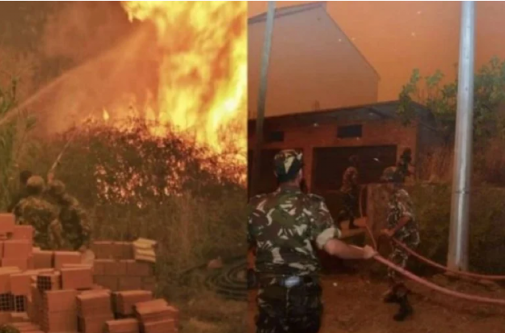 Algérie/Feu de forêt : 65 morts, deuil national de 3 jours