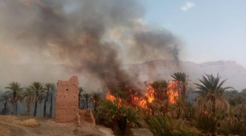 Zagora : un important incendie ravage les palmiers dans les communes de Taliouine et Touzgha tagrsift