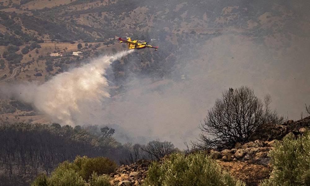 Chefchaouen : L'incendie de la forêt Sougna «contrôlé»