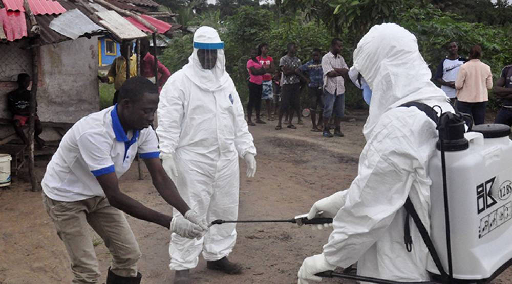Virus Marburg : Premier cas détecté en Guinée