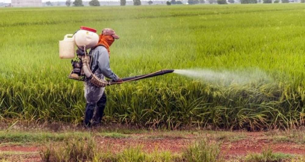 Agriculture : Publication d’un rapport sur le bilan et impacts du PMV
