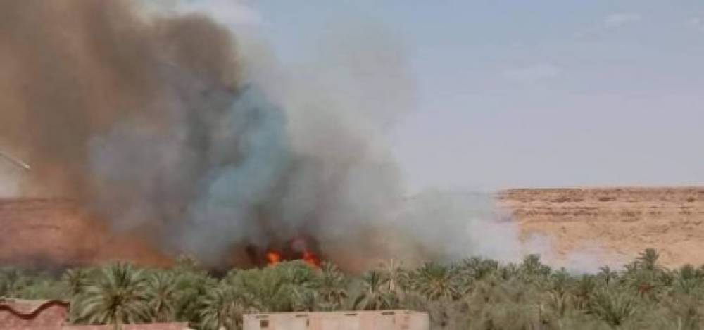 Maroc : Les incendies continuent de décimer les palmeraies