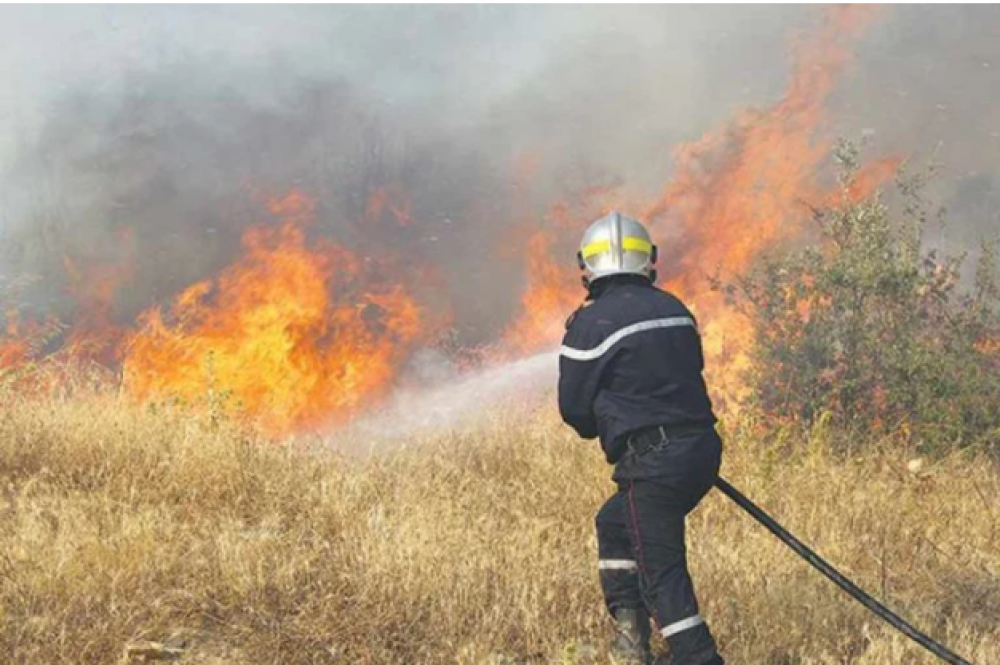 Algérie : Quatre morts dans des incendies de forêts à Tizi-Ouzou