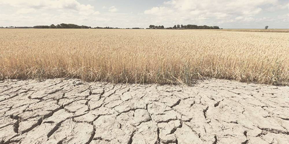 Climat : Le GIEC tire encore la sonnette d’alarme