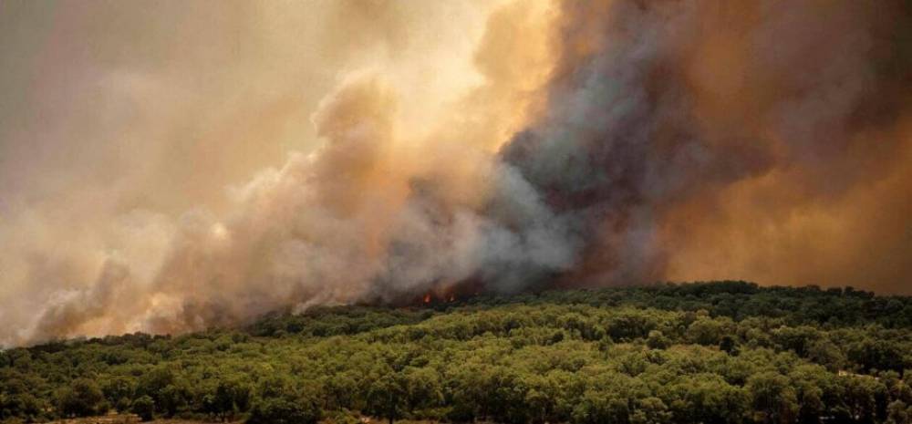 Province de Khénifra : les feux de forêt de « Jbal Ammar Teskart » et « Bouidar » maîtrisés, annoncent les autorités