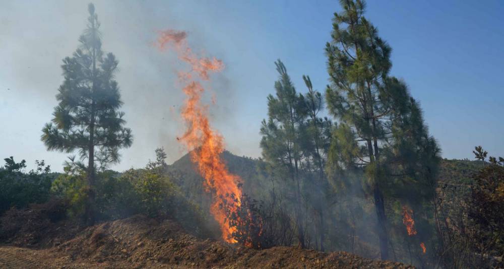 Province de Khénifra : Les feux de forêt complètement circonscrits