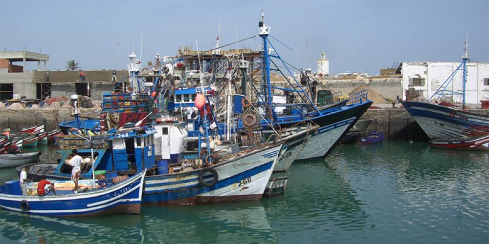 Port de Safi: Les débarquements en hausse de 28% à fin juillet