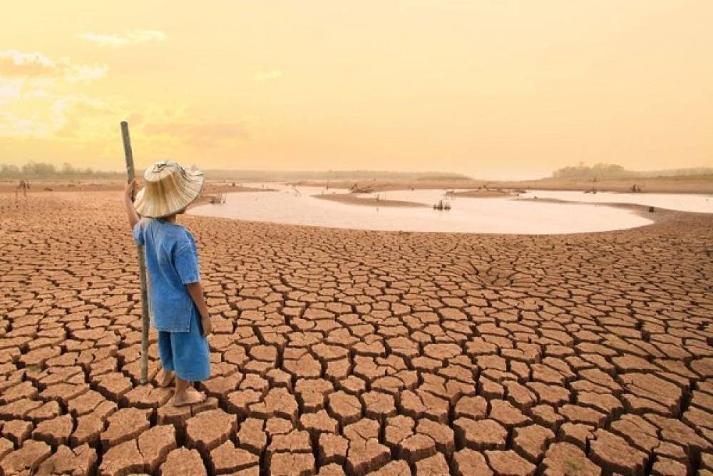 Une étude révèle le lien entre maladies infectieuses et menaces climatiques