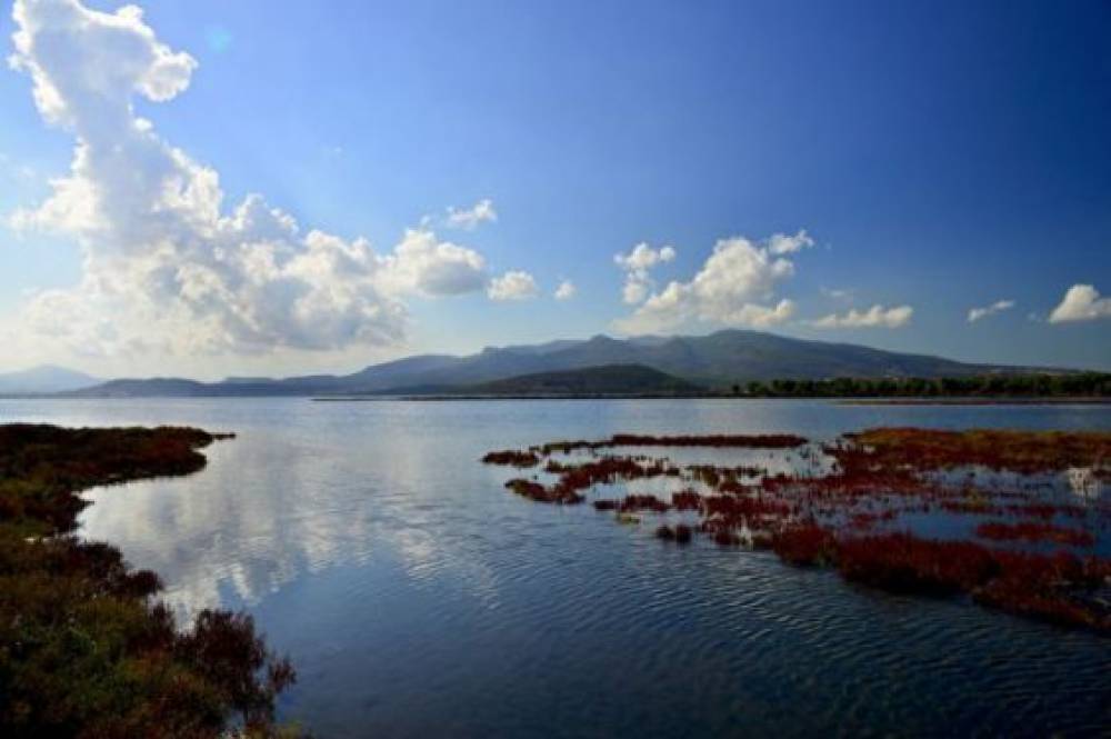 Pollution présumée du lac de Marchica : L’ONEE rassure