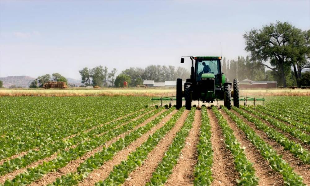 Registre national agricole : les inscriptions des exploitations agricoles se feront également en ligne