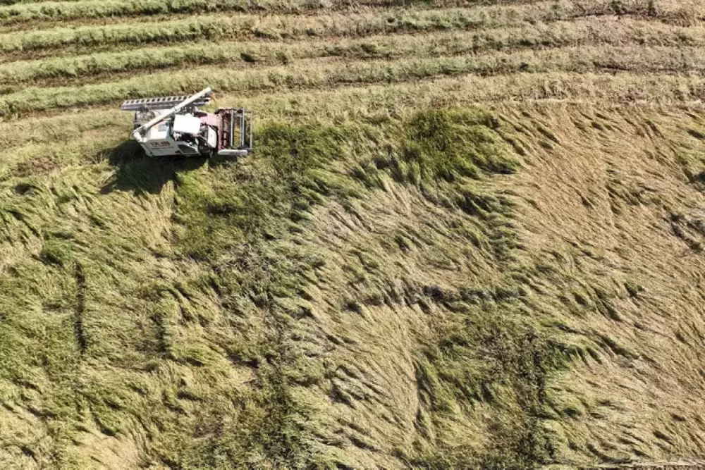 En proie à une canicule inédite, la Chine craint pour ses récoltes