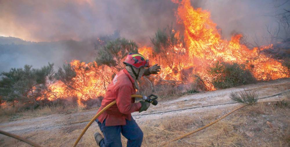 Feu de forêt à M'diq-Fnideq : 3 sapeurs-pompiers décédés et 2 autres grièvement blessés