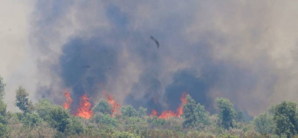 Taza : L’incendie de la forêt de Maghraoua maîtrisé à 65%