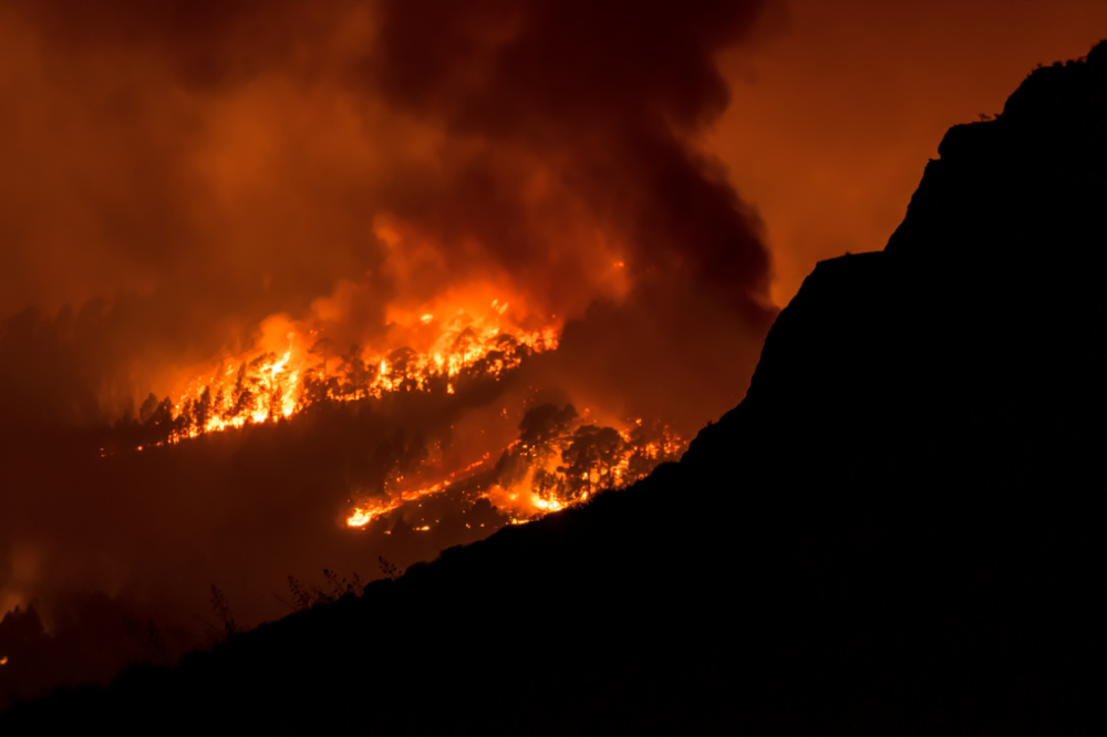 Canaries : plus de 3.200 ha ravagés par l’incendie «le plus compliqué» des 40 dernières années